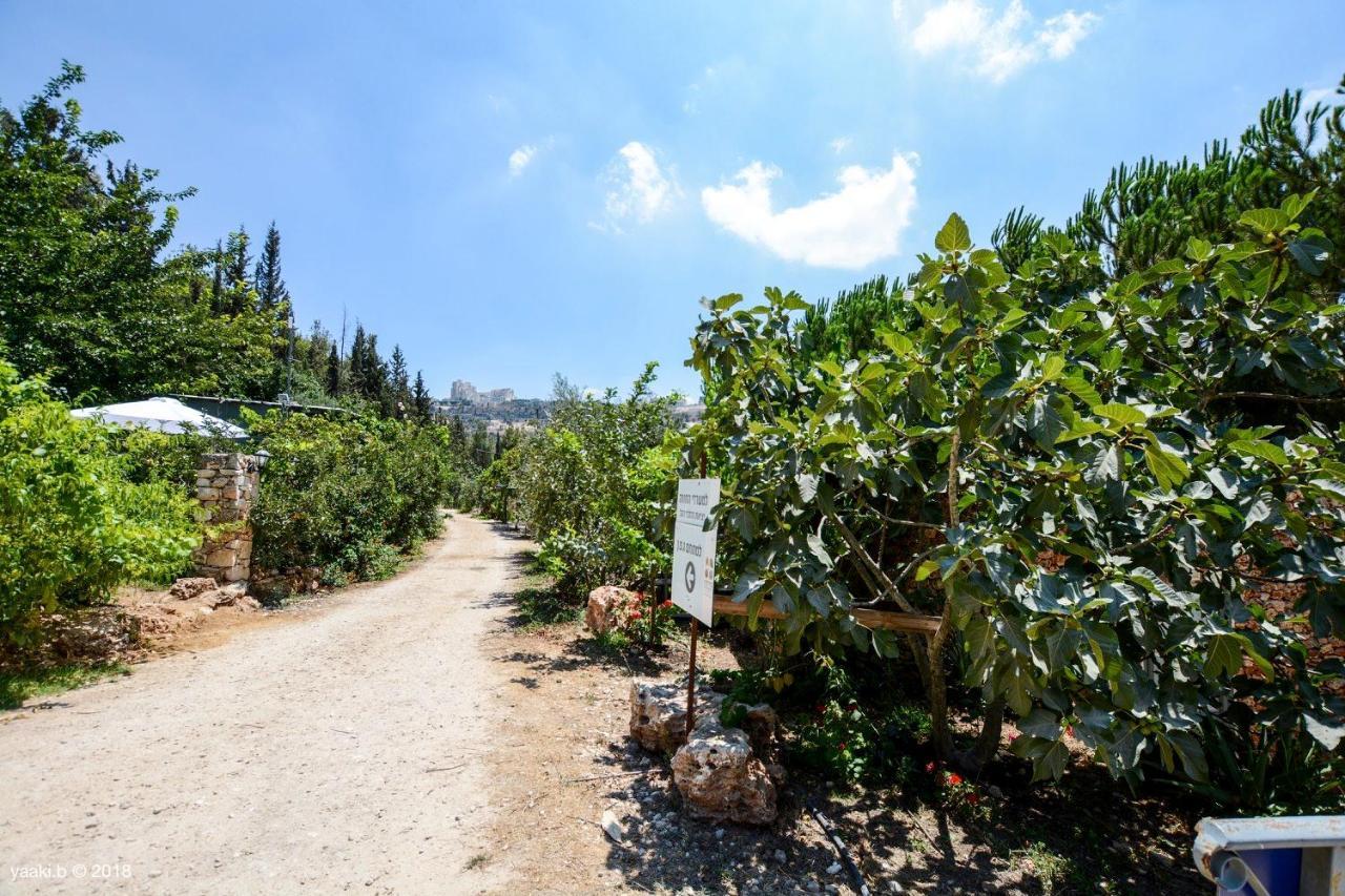 Tur Sinai Organic Farm Resort Ιερουσαλήμ Εξωτερικό φωτογραφία