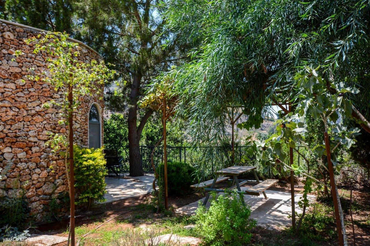 Tur Sinai Organic Farm Resort Ιερουσαλήμ Εξωτερικό φωτογραφία
